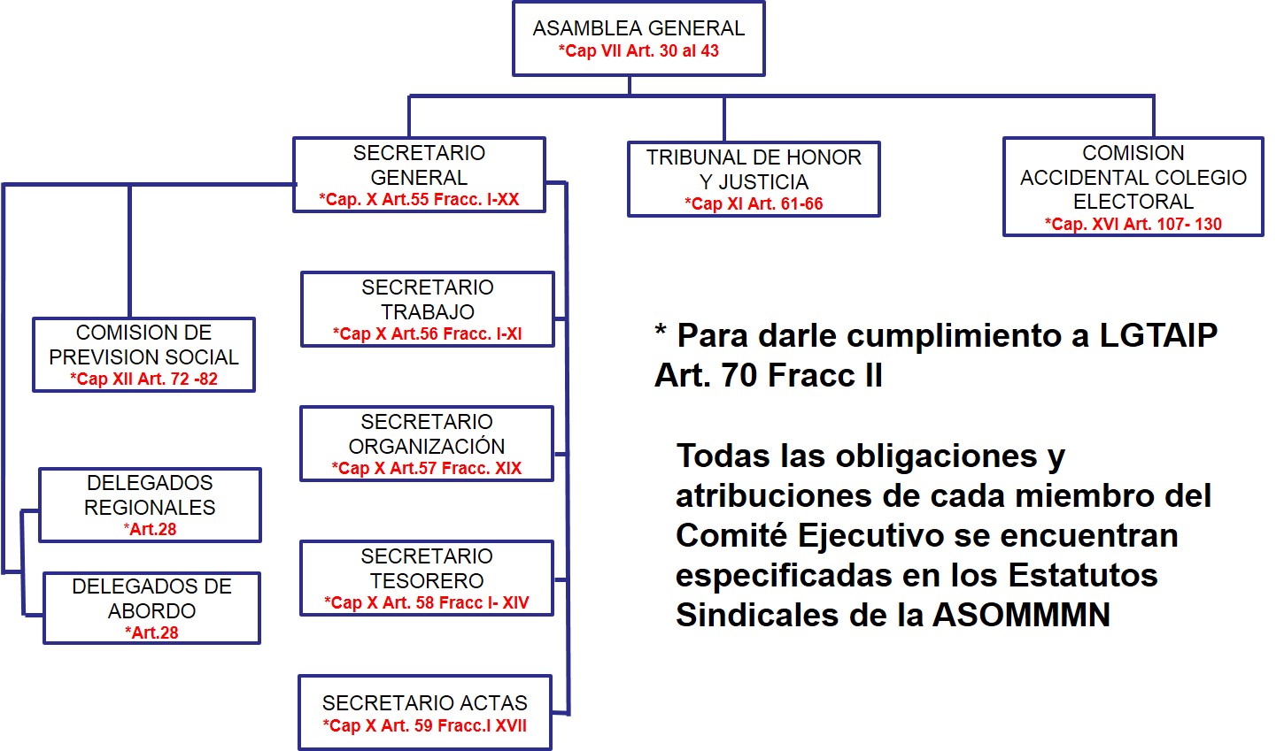 Organizagram-ASOMMMN-modificado-para-publicacion-en-la-web